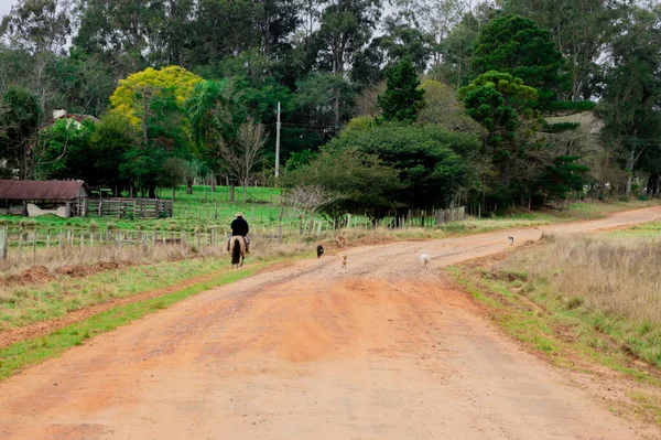 Caballero Paseando Por Camino Tierra Sur Brasil Acompañado Por Una — Foto de Stock