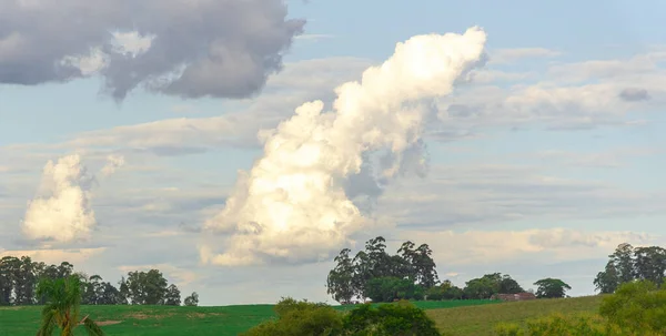 Rural landscape in South America. An image of an agropastoral farm and cumulonimbus clouds in the background that are characterized by a great vertical development.