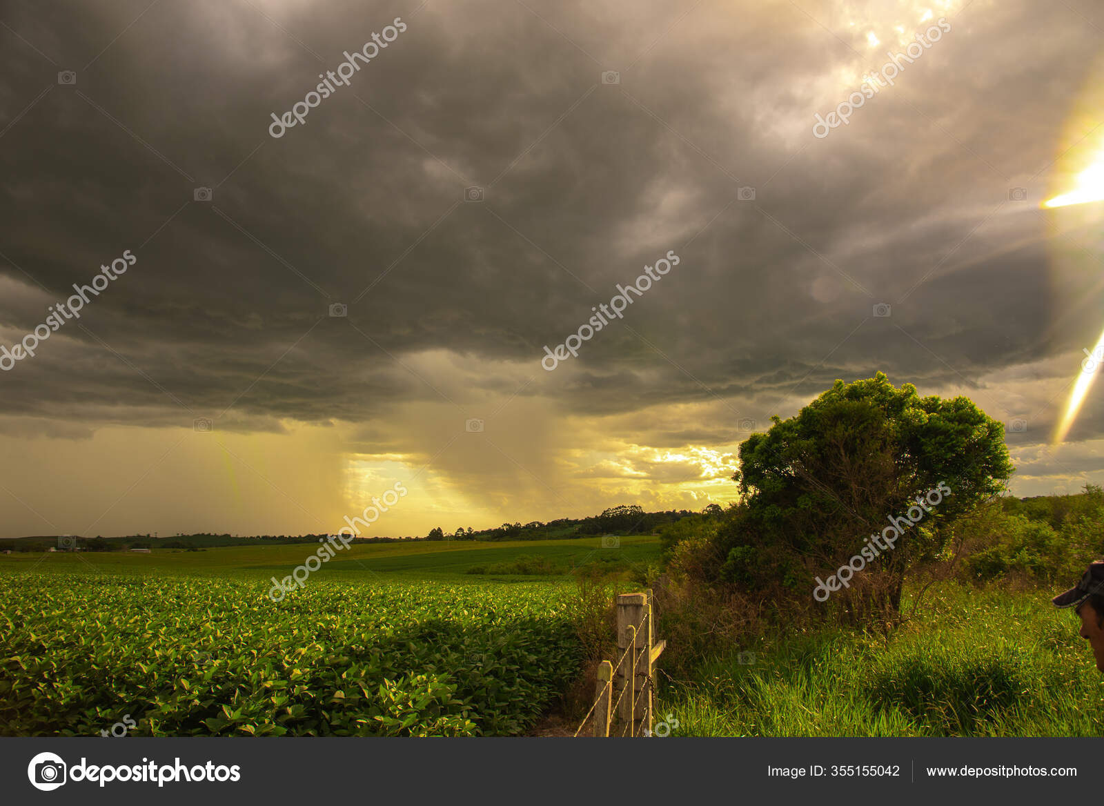 Summer Storm Summer Storm