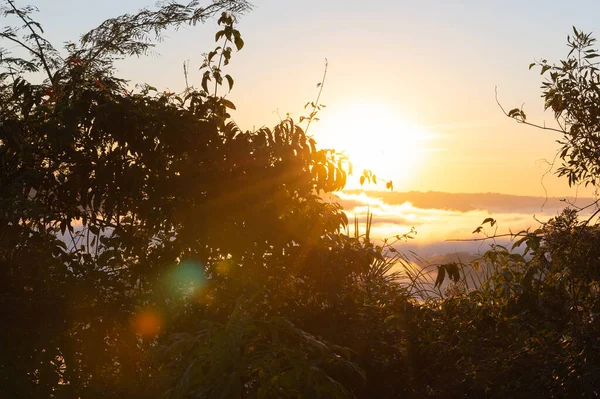 Ледяной Рассвет Горах Ягуари Местность Чападо Бразилия Утро Сильного Тумана — стоковое фото