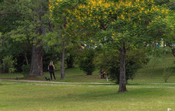 Siyah Elbiseli Sarışın Kadın Köpeğiyle Parkta Yürüyor Santa Maria Brezilya — Stok fotoğraf