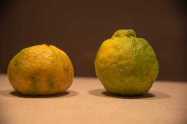 Tradicionalmente na medicina popular italiana, a bergamota tem este nome virtude da cidade de Brgamo, na Lombardia. O leo essencial splarmente until no tratamento das infeces da boca, pele e dos tratos respiratrio.