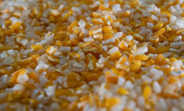Hominy için mısır. Brezilya 'nın farklı bölgelerinde bilinen yemek, hominy mısırla yapıldığında beyaz veya sarı olabilir. Sağlığımız için çeşitli faydaları var..