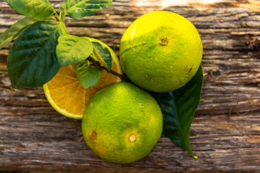 Taze portakal meyveleri. Portakal, Rutaceae familyasından bir ağaç olan portakal ağacının (Citrus sinensis) meyvesidir. Bu bir melez meyvesi. Meyve zengini C vitamini ve meyve suyu üretimi için yaygın olarak kullanılan