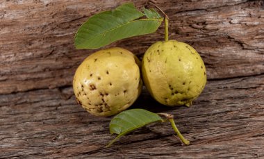 Beyaz guavalar. Guava, Myrtaceae familyasından Psidium guajava familyasından bir meyve türü. Genellikle meyve suyu üretiminde kullanılır.