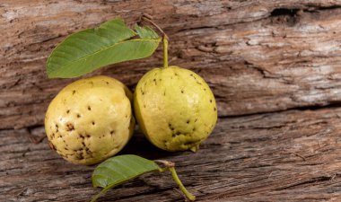 Beyaz guavalar. Guava, Myrtaceae familyasından Psidium guajava familyasından bir meyve türü. Genellikle meyve suyu üretiminde kullanılır.