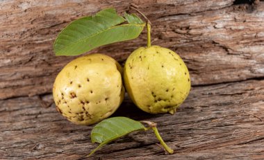 Beyaz guavalar. Guava, Myrtaceae familyasından Psidium guajava familyasından bir meyve türü. Genellikle meyve suyu üretiminde kullanılır.