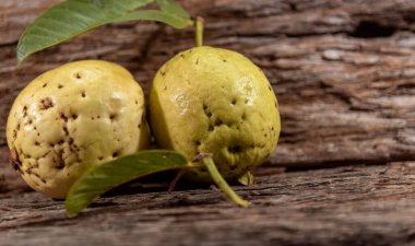 Beyaz guavalar. Guava, Myrtaceae familyasından Psidium guajava familyasından bir meyve türü. Genellikle meyve suyu üretiminde kullanılır.