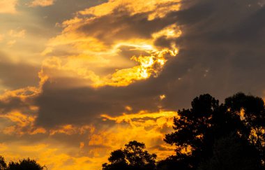 Gün batımı silueti. Güney Brezilya 'nın gökyüzünde turuncu renkli bulutlar. Çiftlik ve tarım üretimi alanlarındaki kırsal araziler. Soyut. Huzur ve bütünlük hissi..