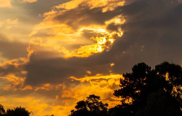 Solnedgångsiluett Moln Orange Toner Himlen Södra Brasilien Landsbygdslandskap Jordbruksområden Och — Stockfoto