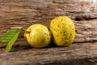 Tahta arka planda izole edilmiş sarımsı pembe guava meyveleri. Tüketim için toplanmış yeşil yapraklı taze guavalar. Brezilya 'dan tropik meyveler. Ahşap dokular. guava yaprakları ve meyveler.