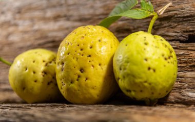 Tahta arka planda izole edilmiş sarımsı pembe guava meyveleri. Tüketim için toplanmış yeşil yapraklı taze guavalar. Brezilya 'dan tropik meyveler. Ahşap dokular. guava yaprakları ve meyveler.