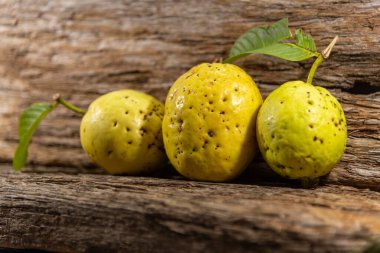 Tahta arka planda izole edilmiş sarımsı pembe guava meyveleri. Tüketim için toplanmış yeşil yapraklı taze guavalar. Brezilya 'dan tropik meyveler. Ahşap dokular. guava yaprakları ve meyveler.
