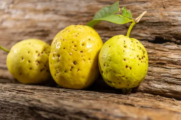 Yellowish pink guava fruits isolated on wooden background. Fresh guavas with green leaves harvested for consumption. Tropical fruits from Brazil. Wood texture. guava leaves and fruits.