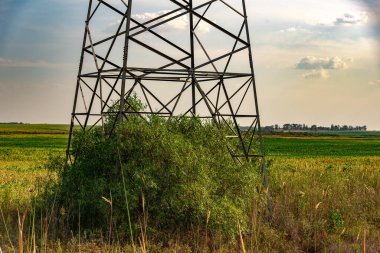 Elektrik kuleleri. Elektrik iletim hatları. Brezilya 'da enerji altyapısı. Soya fasulyesi üretim alanlarında kuleler. Brezilya enerji sektörü.