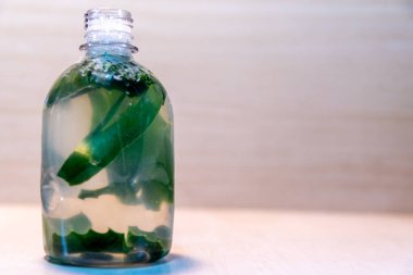 Aloe Vera 'nın aşısı. Aloe Vera, çeşitli hastalıkların tedavisinde ve ayrıca cilt ve saçların güzelliğinin korunmasında kullanılan tıbbi ve kozmetik özellikleriyle tanınan bir bitkidir..