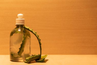 Aloe Vera 'nın aşısı. Aloe Vera, çeşitli hastalıkların tedavisinde ve ayrıca cilt ve saçların güzelliğinin korunmasında kullanılan tıbbi ve kozmetik özellikleriyle tanınan bir bitkidir..