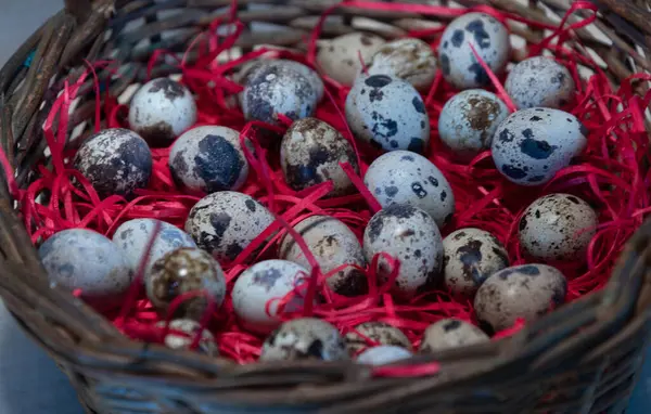 Kwarteleieren Voordelen Van Kwarteleitje Zijn Groot Voor Algemene Gezondheid Het — Stockfoto