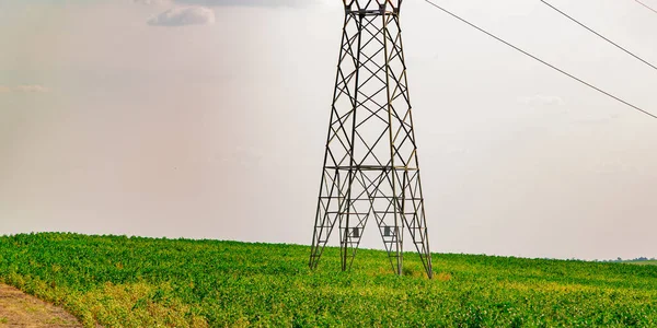 送電塔だ 電気ネットワークインフラ 送電塔とは 電気エネルギーを輸送する一連のケーブルを支える塔の形をした金属構造物である — ストック写真