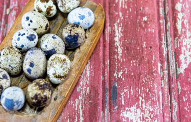 Bıldırcın yumurtası. Bıldırcın yumurtaları tavuk yumurtalarından çok daha küçüktür ve ayrıca çok hoş bir tadı olmasının yanı sıra, yüksek biyolojik değeri olan protein içeriğinden dolayı çok besleyici bir besindir..