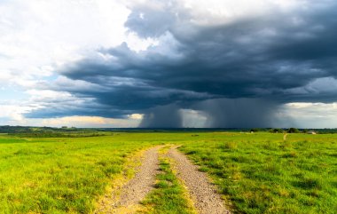 Güney Brezilya 'da çiftlik hayvanı tarlalarına yağmur yağıyor. Pampa, ayrıca Pampas, Campanha Gacha, Campos Sulinos veya Campos do Sul olarak da bilinir.