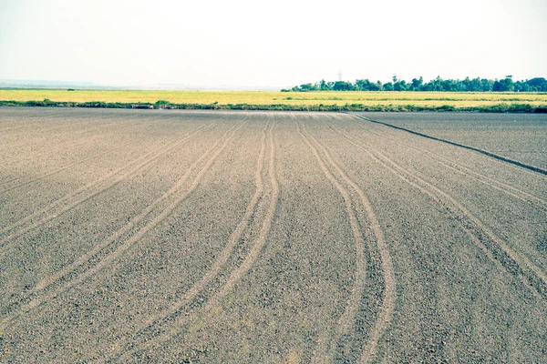 Paisagem Rural Brasileira Área Plantio Arroz Oryza Ssp Solo Preparação — Fotografia de Stock