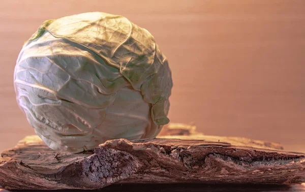 Repolho Fresco Serve Para Preparar Vários Pratos Culinários Como Famoso — Fotografia de Stock