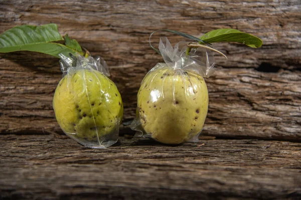Guava fruits (Psidium guajava L.) wrapped in a protective plastic bag. Guava is a tropical fruit, native to all of America, except Canada, and South Africa