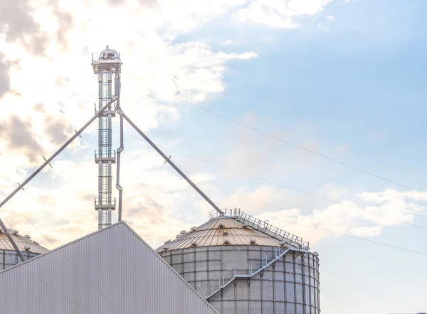 Metallic warehouse. Grain storage silo. Soy deposit. Infrastructure for storage and storage of agricultural products. Agriculture in Brazil. Grain warehouse. Commodities