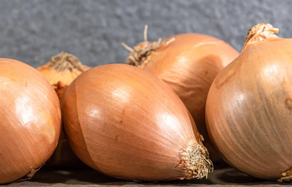 Cibule Allium Cepa Koření Koření Kulinářská Přísada Zdroj Flavonoidů Minerálů — Stock fotografie