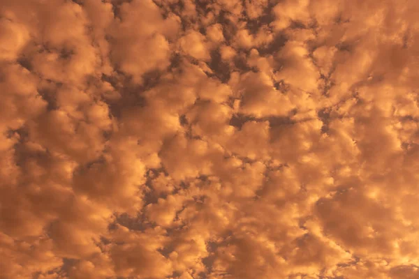 Regnmoln Dramatisk Himmel Tintoner Och Färger Från Solnedgången Känsla Frihet — Stockfoto