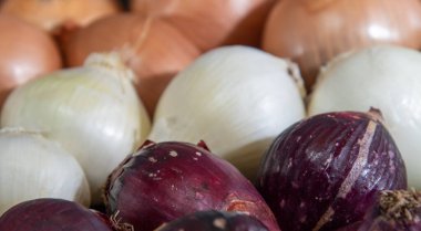 Soğan, bilimsel adı Allium cepa olan bitkinin popüler adıdır. Baharatlar için konserve. Mutfak malzemesi. İnsan yemeği. Taze soğan..