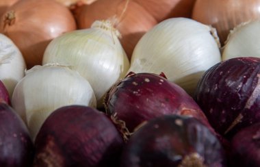 Soğan, bilimsel adı Allium cepa olan bitkinin popüler adıdır. Baharatlar için konserve. Mutfak malzemesi. İnsan yemeği. Taze soğan..