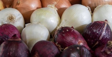 Soğan, bilimsel adı Allium cepa olan bitkinin popüler adıdır. Baharatlar için konserve. Mutfak malzemesi. İnsan yemeği. Taze soğan..