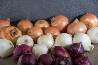 Soğan, bilimsel adı Allium cepa olan bitkinin popüler adıdır. Baharatlar için konserve. Mutfak malzemesi. İnsan yemeği. Taze soğan..