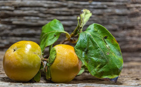 Cesta Mimbre Con Limón Limón Cítrico Citrus Latifolia Cítricos Limonia — Foto de Stock