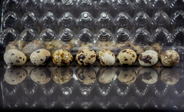 Eggs of the quail bird (Coturnix coturnix coturnix). Food source of Calcium, Phosphorus, Zinc and Iron. Fights anemia, increases muscle mass. Food rich in vitamin B12.