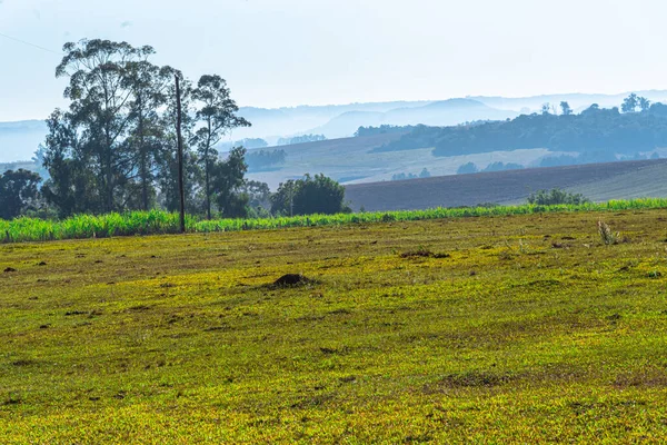 Landsbygd Gårdsområde Brasilien Jordbruk Och Boskapsskötsel Jordbruksregionen Pampbiomen Landskap Sydamerikanska — Stockfoto