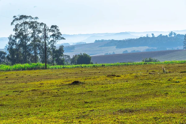 Landsbygd Gårdsområde Brasilien Jordbruk Och Boskapsskötsel Jordbruksregionen Pampbiomen Landskap Sydamerikanska — Stockfoto