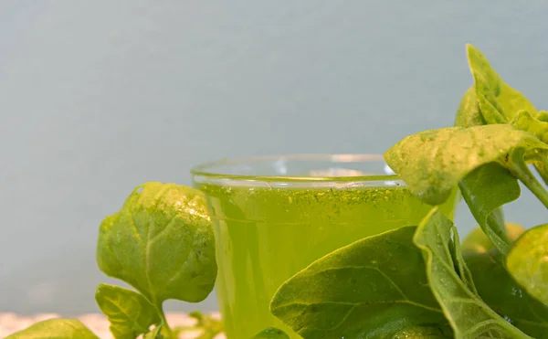 Χυμός Πράσινου Σπανάκι Spinacia Oleracea Φυσικό Ποτό Ποτό Λαχανικών Σπινακία — Φωτογραφία Αρχείου