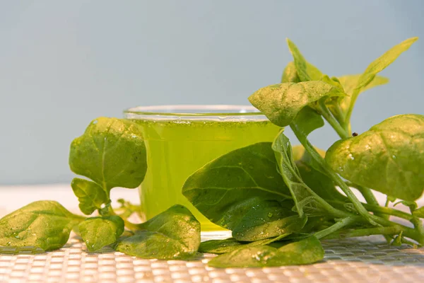 Groene Spinazie Sap Spinacia Oleracea Natuurlijke Drank Veganistisch Drankje Spinacia — Stockfoto