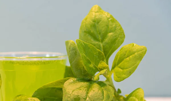 Groene Spinazie Sap Spinacia Oleracea Natuurlijke Drank Veganistisch Drankje Spinacia — Stockfoto