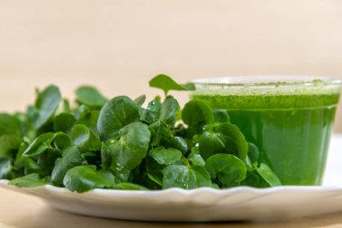 Su teresi suyu ve salata (Nasturtium officinale). Detoks içeceği ve salata. Antioksidan yeşillik. Doğal yiyecekler. Enerji içeceği. Yeşil meyve suyu. Diyet ve dengeli diyet. Salata malzemesi..