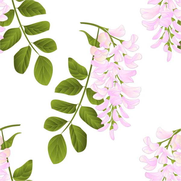 Sorunsuz doku akasya ağacı vintage vektör