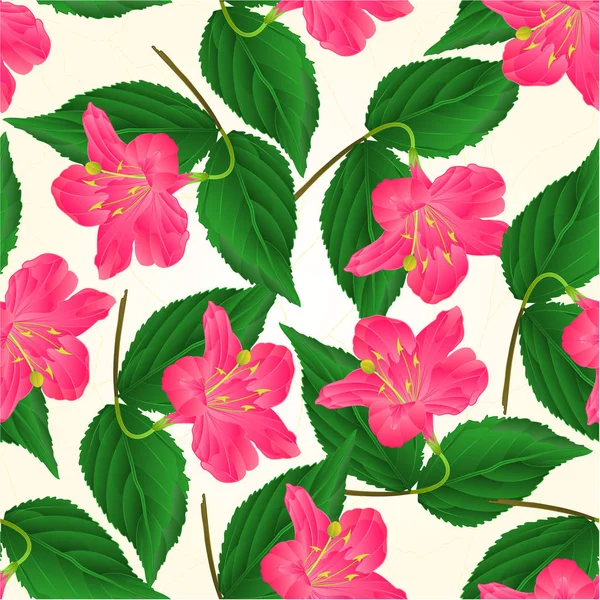 Textura sem costura Flor rosa arbusto decorativo Weigela vetor vintage —  Vetores de Stock