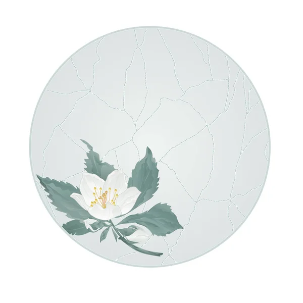 Button circle   spring flower jasmine cracks vintage  vector — Stock Vector