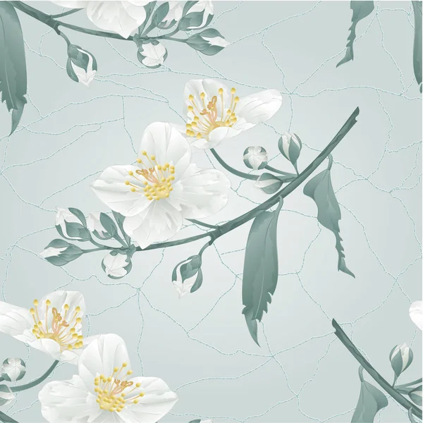 Naadloze textuur jasmijn bloemen en knoppen scheuren vintage vector — Stockvector