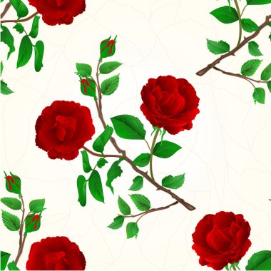 Sorunsuz doku Mor gül çatlaklar porselen vintage vektörde