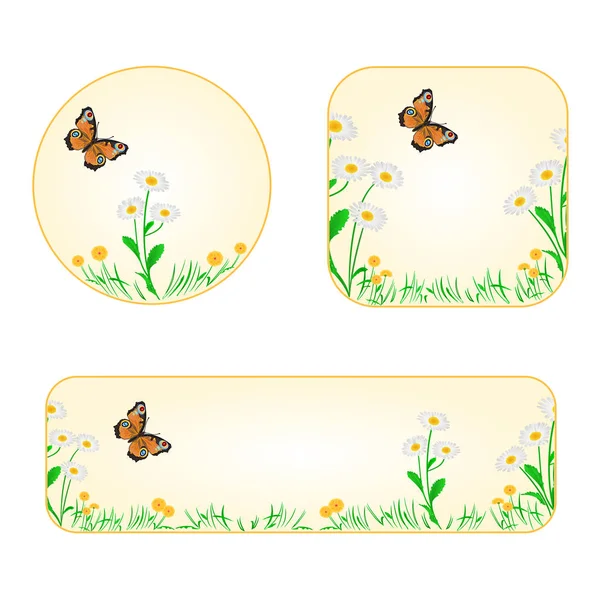 Banner and buttons  spring flowers daisy with butterfly  vector — Stock Vector
