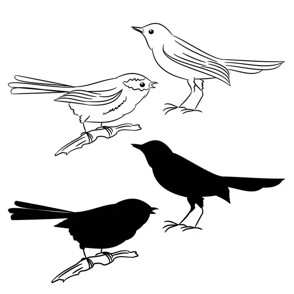 Le contour et la silhouette des oiseaux Le premier vecteur d'ensemble — Image vectorielle